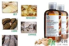 英國the Body Shop生姜洗發(fā)水怎么樣？the Body Shop生姜洗發(fā)水功效