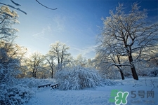 下雪天開車常識及技巧你知道嗎？下雪天開車的注意事項