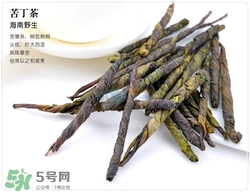 苦丁茶是綠茶嗎?苦丁茶屬于什么茶類