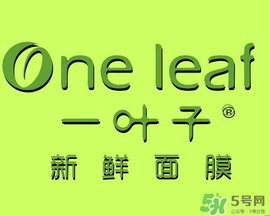 一葉子面膜會(huì)過(guò)敏嗎？一葉子面膜會(huì)不會(huì)過(guò)敏？