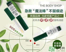 the body shop茶樹急救棒怎么用？美體小鋪茶樹祛痘急救棒用法