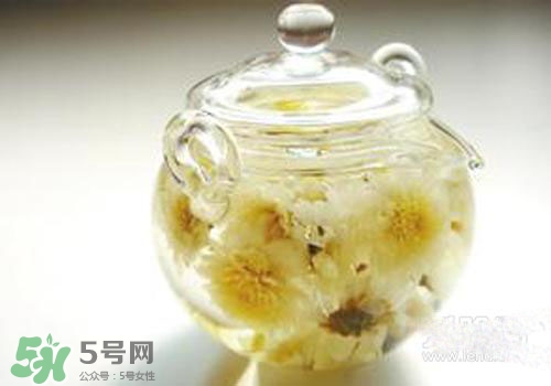 菊花茶什么時候喝最好？菊花茶什么季節(jié)喝最好？