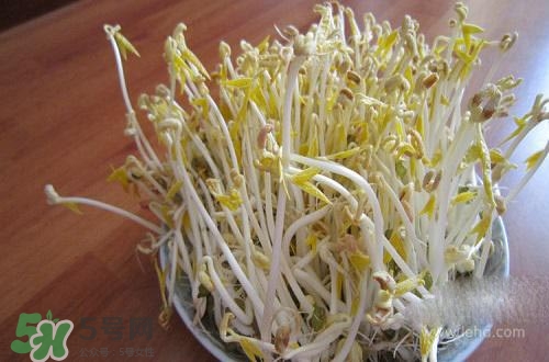 豆芽糖尿病可以吃嗎？糖尿病吃豆芽有什么好處？