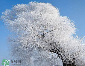 2017年第一場雪什么時候？2017年什么時候下雪？