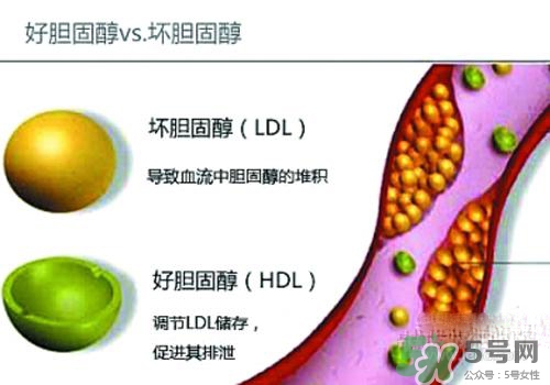 膽固醇高是血脂稠嗎？膽固醇高和血脂稠有什么聯(lián)系？