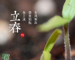 立春吃什么蔬菜？立春時(shí)令蔬菜推薦