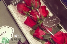 roseonly是怎么火起來的？roseonly值得買嗎？