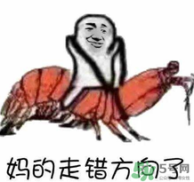 說(shuō)人皮皮蝦是什么意思？女生叫男生皮皮蝦什么意思？