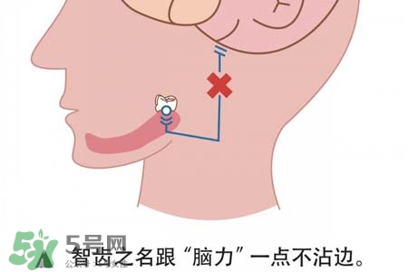 智齒會一直長嗎？智齒會停止生長嗎？