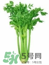 負(fù)卡路里的食物有哪些？負(fù)卡路里食物真的吃不胖嗎？