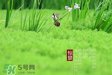 驚蟄吃什么蔬菜好？驚蟄節(jié)氣養(yǎng)生吃什么蔬菜？