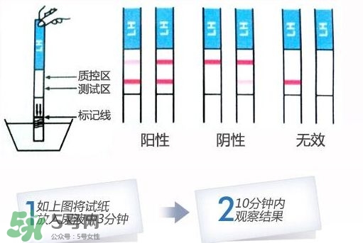 早孕試紙什么時(shí)候測最準(zhǔn)？早孕試紙什么時(shí)候可以測出來