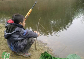 驚蟄能釣魚嗎？驚蟄釣什么魚好？