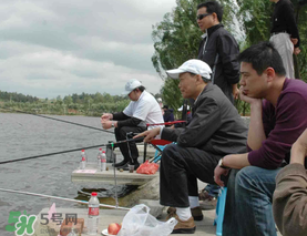 驚蟄過后好釣魚嗎？驚蟄后陰雨天好釣魚嗎？