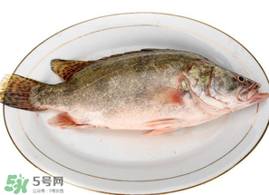 三月份吃什么魚？3月份吃什么魚好？