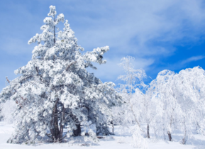 三月份還會下雪嗎？哈爾濱三月份還有雪嗎？