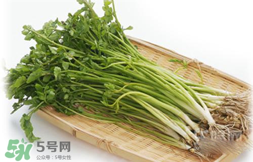 吃野芹菜會中毒嗎？吃野芹菜中毒了怎么辦？