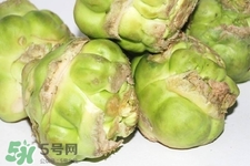 芥菜頭的營(yíng)養(yǎng)價(jià)值 芥菜頭的功效與作用