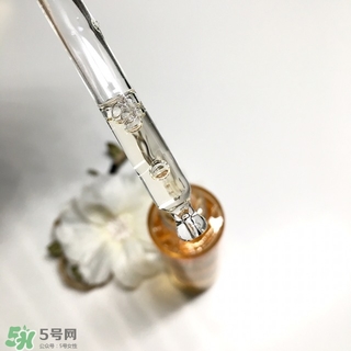 嬌蘭黃金蜜原蜜怎么用？嬌蘭黃金蜜原蜜使用方法