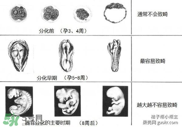 拍CT多久可以要小孩 拍CT后多久可以懷孕