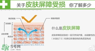 玉澤和至本哪個(gè)好？玉澤和至本區(qū)別對比