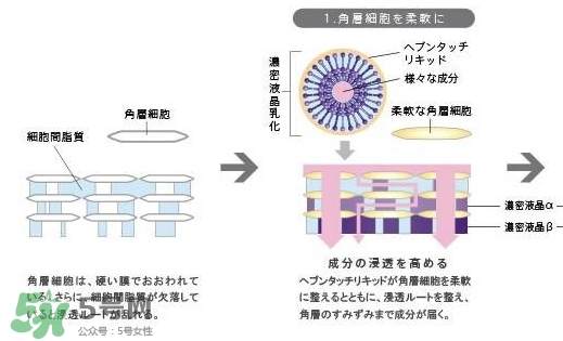 pola極光精華怎么用？pola極光精華使用方法