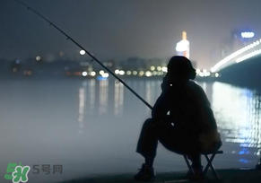 春分能夜釣嗎？春分能釣鯉魚嗎？