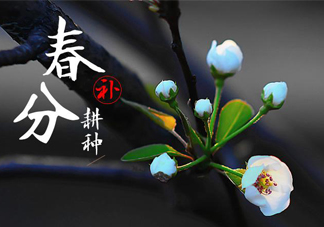 春分吃春菜有什么好處？春菜有什么營養(yǎng)價(jià)值？