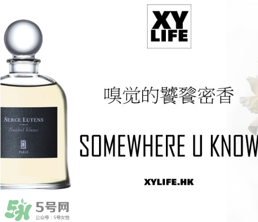 serge lutens蘆丹氏香水哪款好聞？鹵蛋蘆丹氏香水推薦