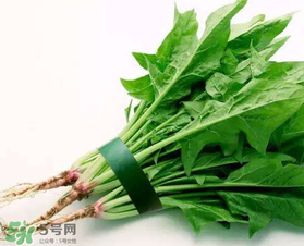 孕婦可以吃菠菜嗎？孕婦菠菜吃多了會(huì)怎樣？