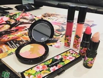 mac2017夏季fruity juicy系列有哪些？