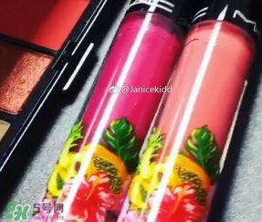 mac2017夏季fruity juicy系列有哪些？