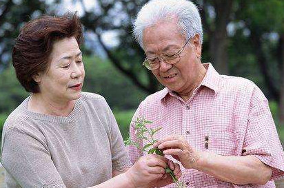 高血脂能不能吃雞蛋？血脂高可以吃雞蛋嗎