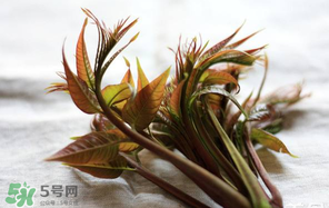 香椿怎么洗？香椿芽怎么洗干凈？