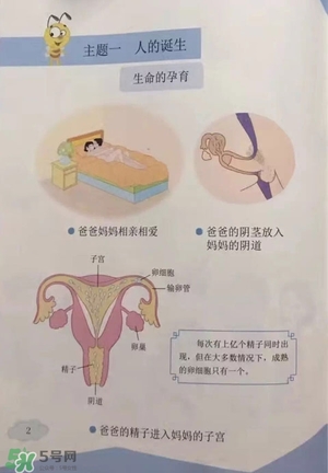 孩子瀏覽成人網(wǎng)站怎么辦？小學性教育有沒有必要？