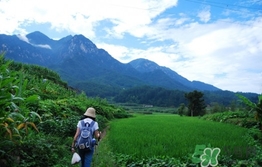 四月份去哪里旅游比較好？四月份最適合旅游的地方