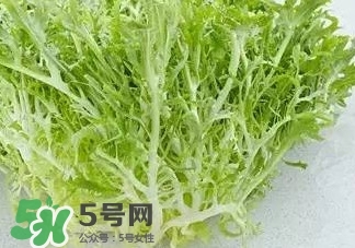 苦菊能和羊肉一起吃嗎？苦菊可以和羊肉一起吃嗎