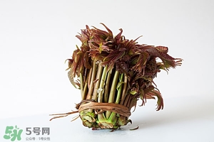 香椿樹(shù)什么時(shí)候發(fā)芽？香椿樹(shù)什么時(shí)候種植