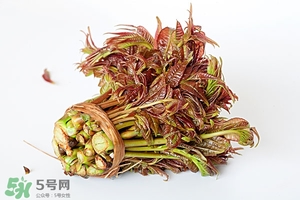 香椿樹(shù)什么時(shí)候發(fā)芽？香椿樹(shù)什么時(shí)候種植