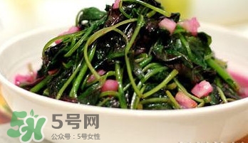 莧菜怎么吃？莧菜怎么炒