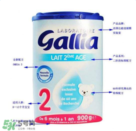 gallia奶粉分段介紹 gallia奶粉分段說明