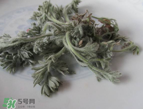 白蒿能治黃疸嗎？白蒿水可以治黃疸嗎？