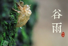 谷雨養(yǎng)生吃什么？谷雨養(yǎng)生常識(shí)