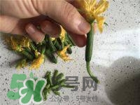 黃瓜花能吃嗎？黃瓜花怎么吃