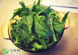 吃冰菜有什么好處？冰菜吃了有什么好處？