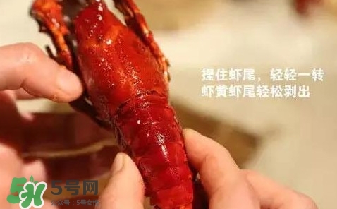 蝦子怎么吃？蝦子的吃法