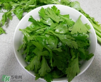 芹菜葉怎么吃？芹菜葉吃法