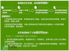 貴妃芒果硬的能吃嗎？貴妃芒果青的能吃嗎