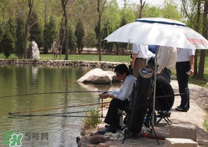 立夏好釣魚嗎？立夏怎么釣魚？