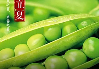 立夏吃什么好？立夏吃什么蔬菜？